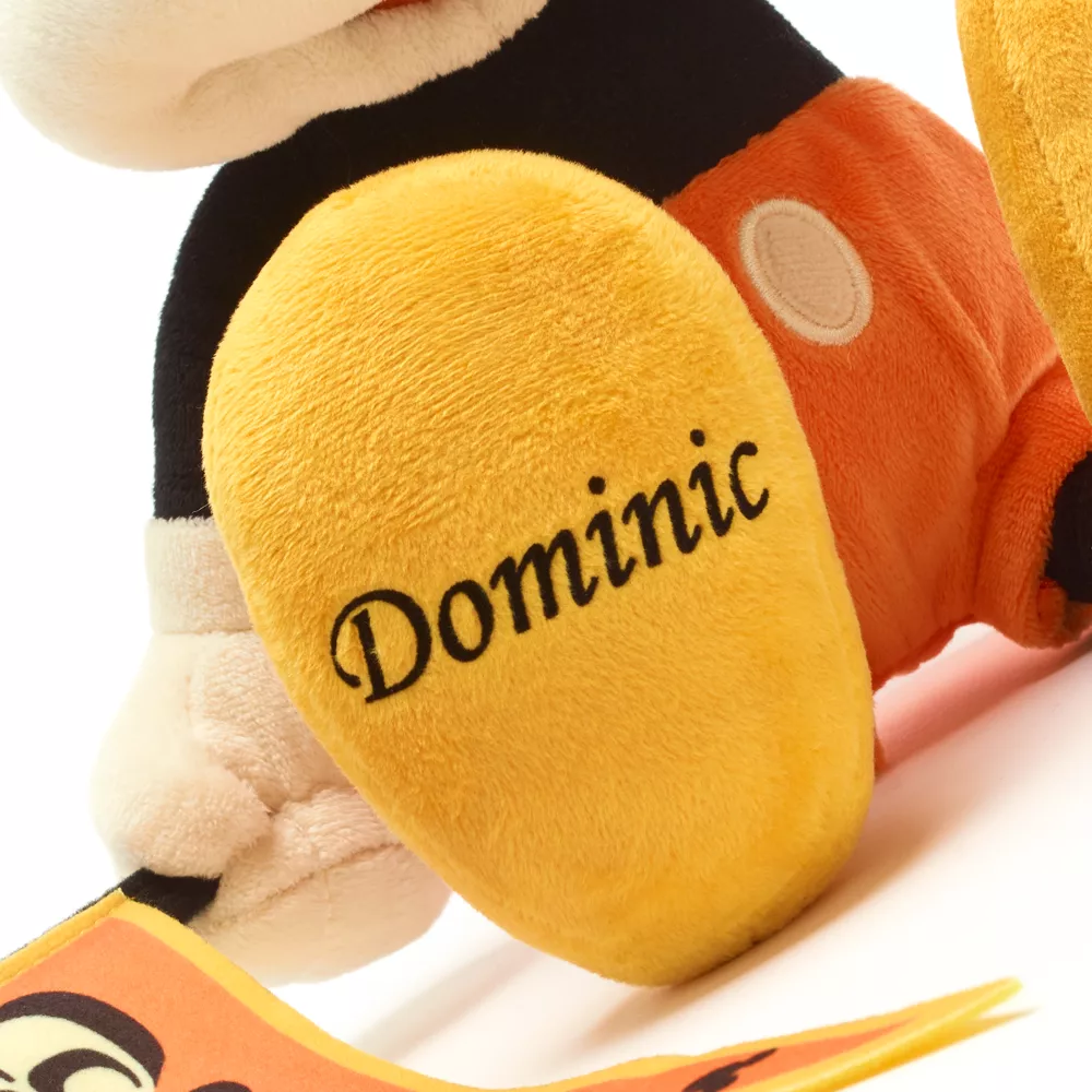 Disneyland Peluche Moyenne Mickey 2023 – Image 3