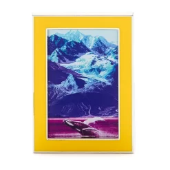 Disney Store Pin's National Geographic Océan